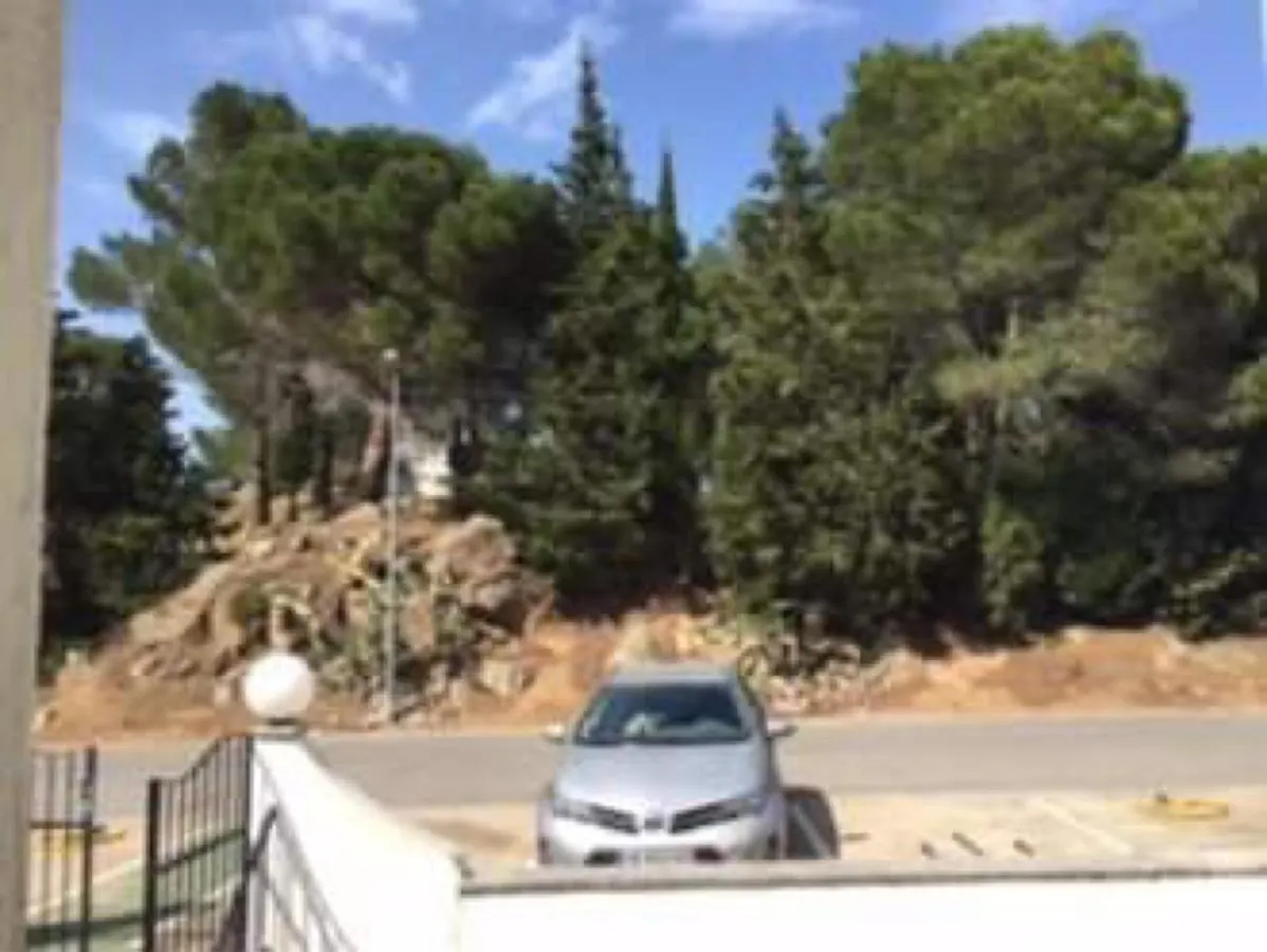 Apartment Appartement « El Jardin « Puig Rom Roses